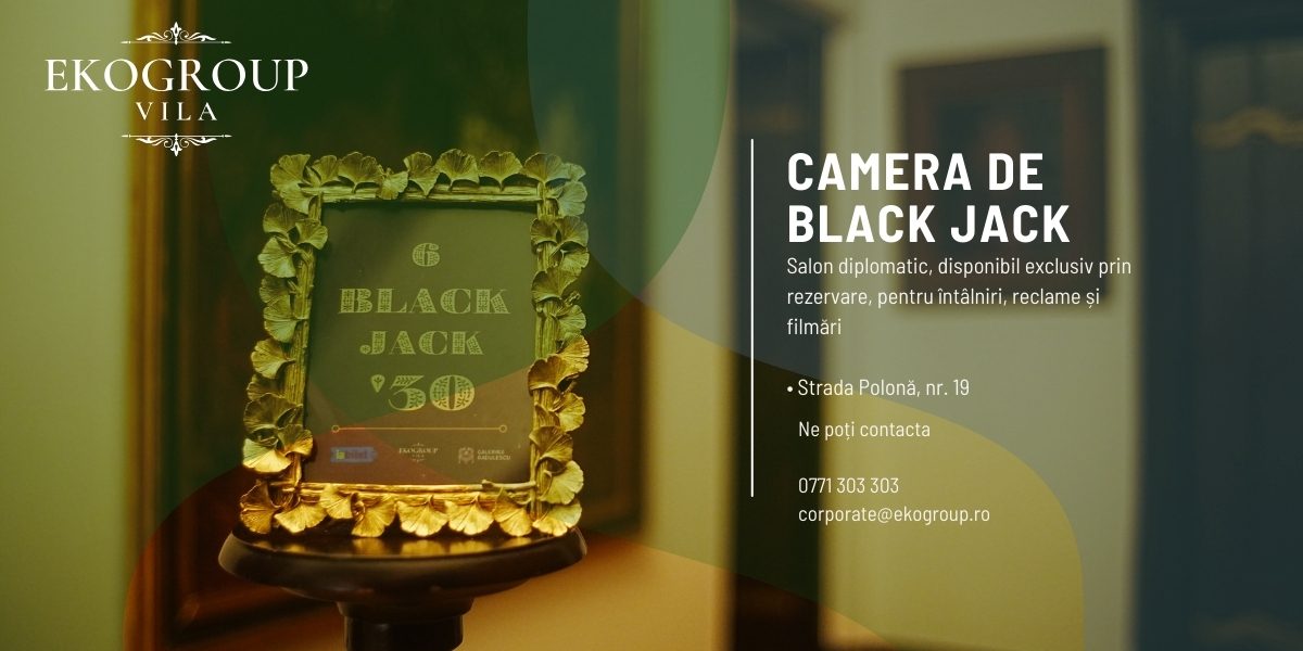 Camera de Black Jack – Salon Diplomatic Exclusiv pentru Experiențe Private și Producții Vizuale